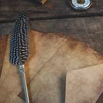 Zilpha Elaw: The Power of Spiritual Memoir