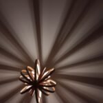 ✨ Devotional: Love is a Lamp, Not a Spotlight