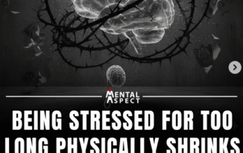 🌿 How Does Prayer Change the Brain’s Wiring?