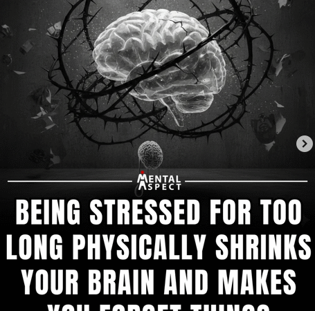 🌿 How Does Prayer Change the Brain’s Wiring?