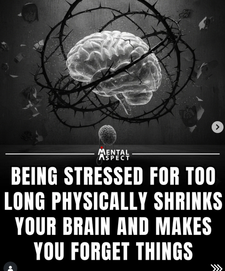 🌿 How Does Prayer Change the Brain’s Wiring?