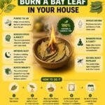 Bay Leaves, Prayer, and Sacred Transitions