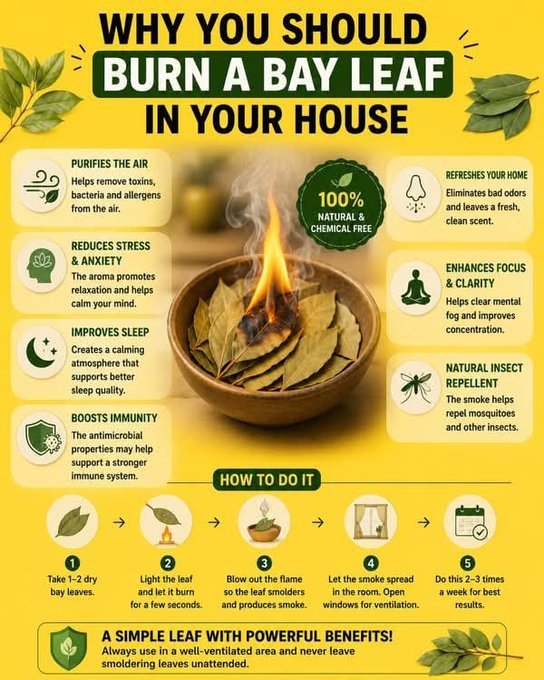 Bay Leaves, Prayer, and Sacred Transitions